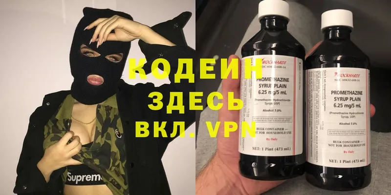 Кодеин Purple Drank  как найти наркотики  Закаменск 